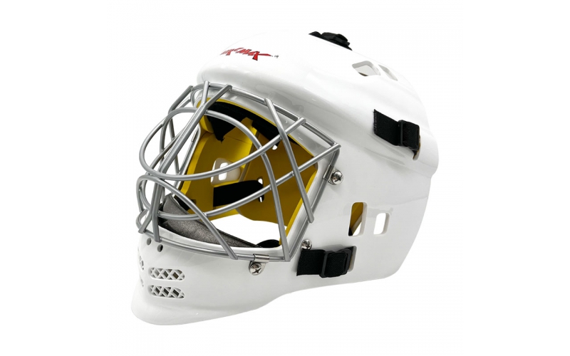Goalie Hockey Helmets