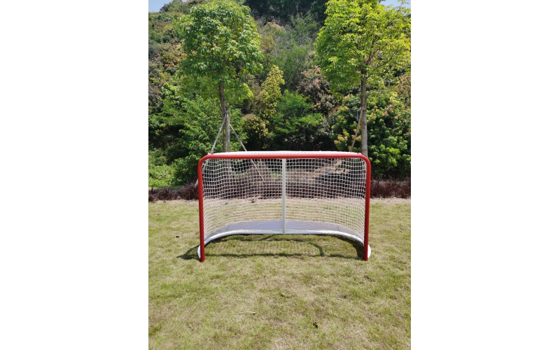 ICE HOCKEY GOALS