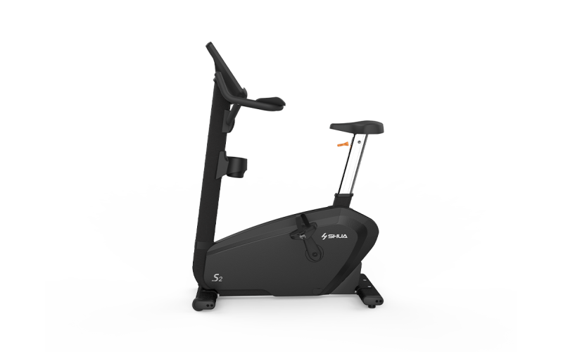 Commercial Upright Bike