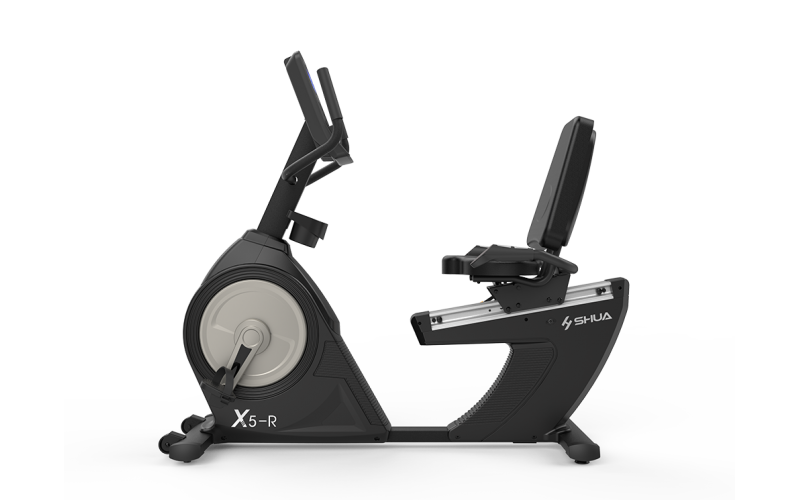 Recumbent Bike