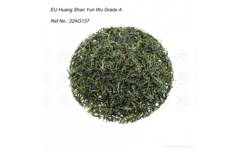 WHITE TEA