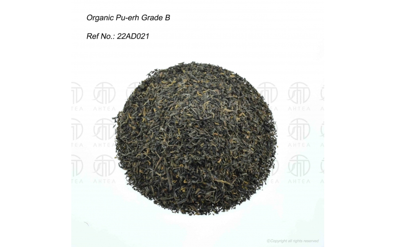 PU-ERH TEA