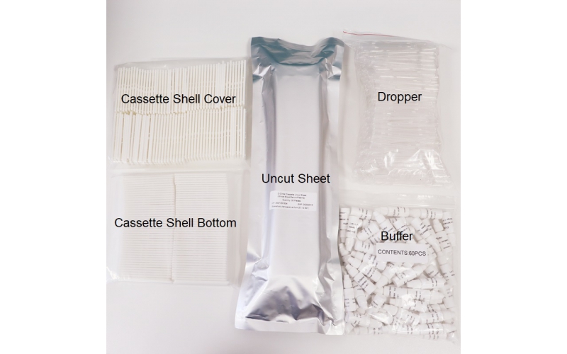 Rapid Test Uncut Sheet
