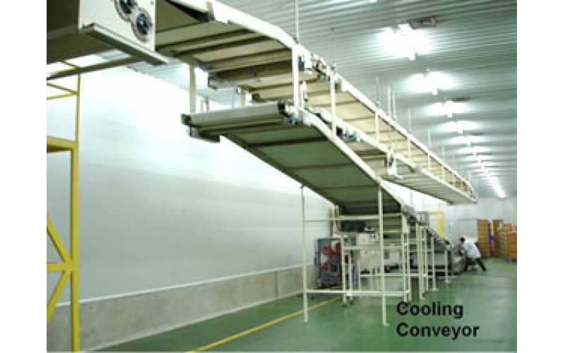 Curve Conveyor