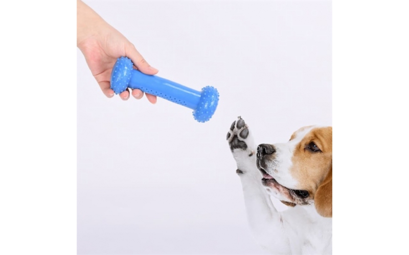 Pet Toys
