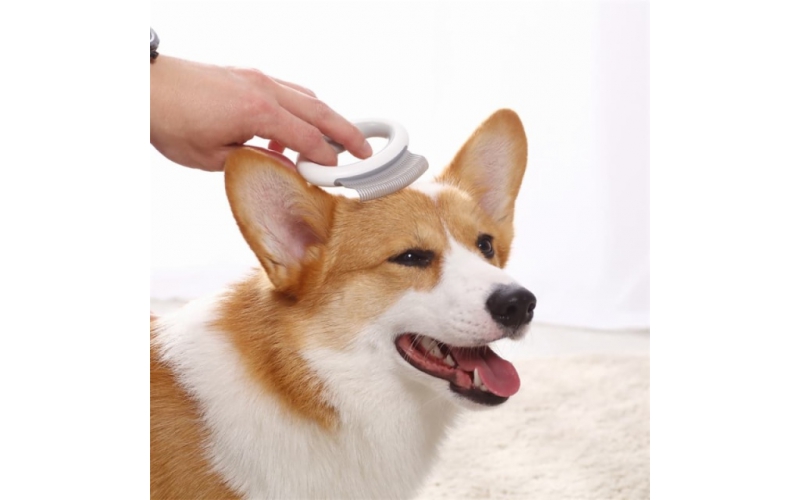 Pet Accessaries