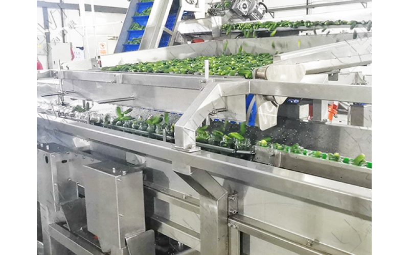 Canned Cucumber Production Line